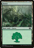 Forest