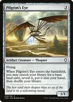 Pilgrim's Eye