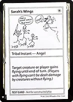 Sarah's Wings