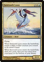 Sawtooth Loon
