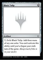 Black Tulip