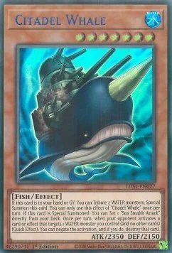 Citadel Whale