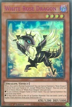 White Rose Dragon