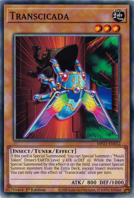 Transcicada
