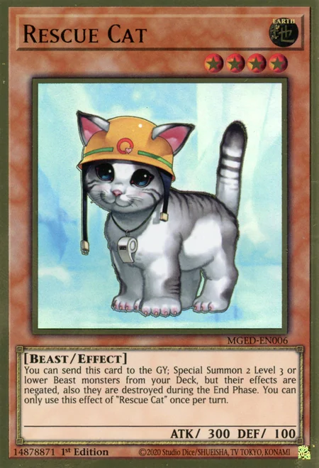 Rescue Cat