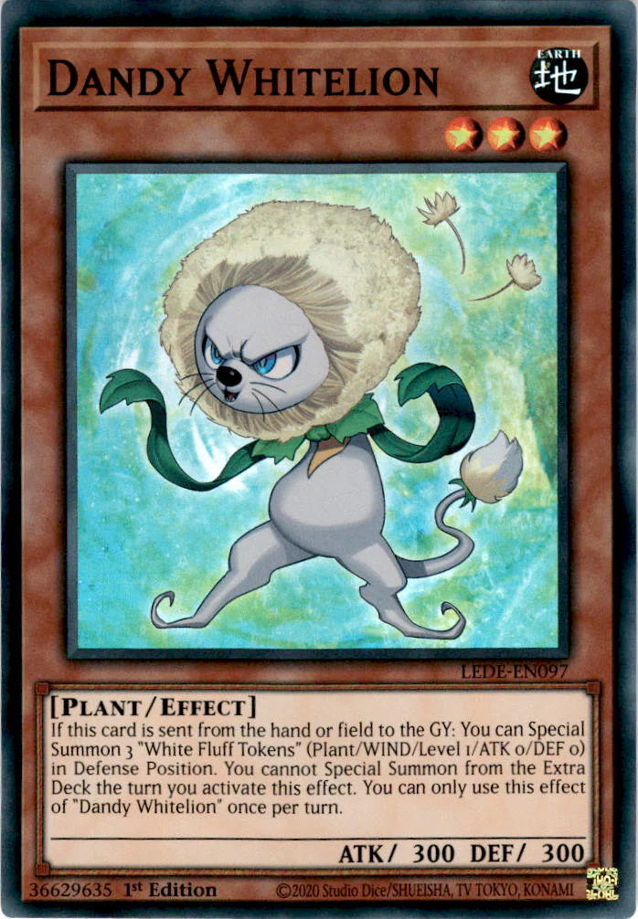 Dandy Whitelion