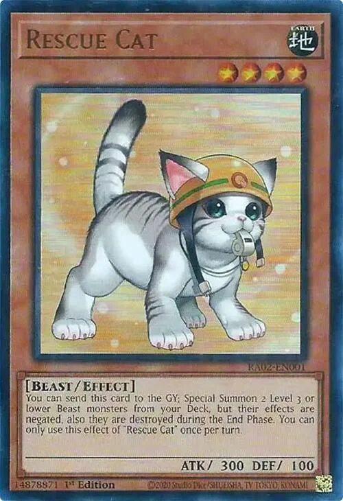 Rescue Cat