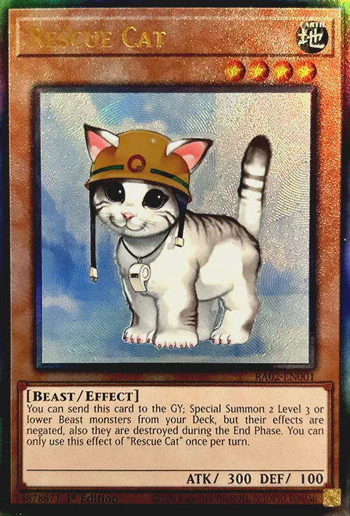 Rescue Cat