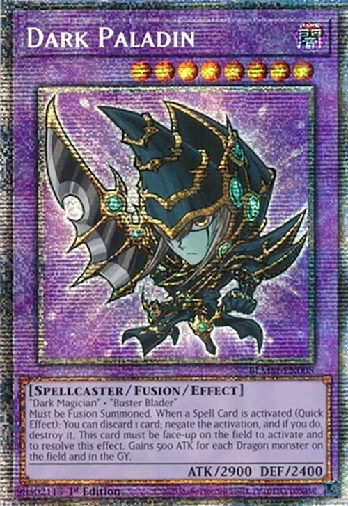 Dark Paladin