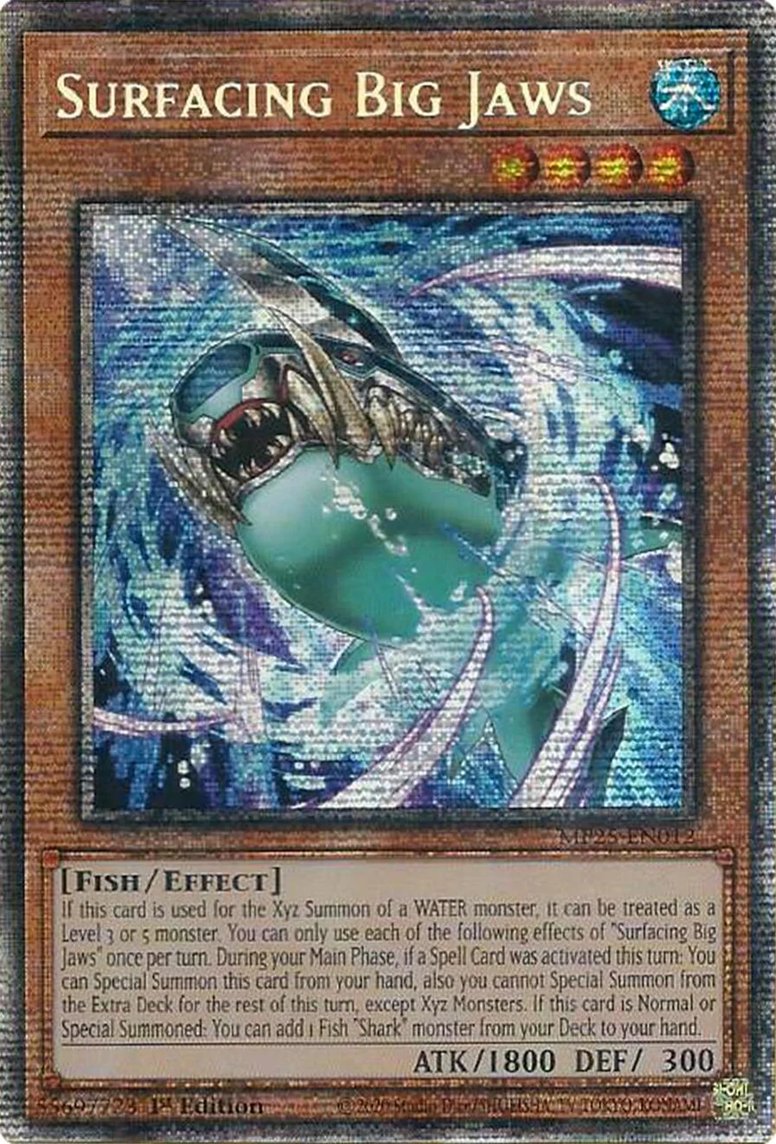 Surfacing Big Jaws