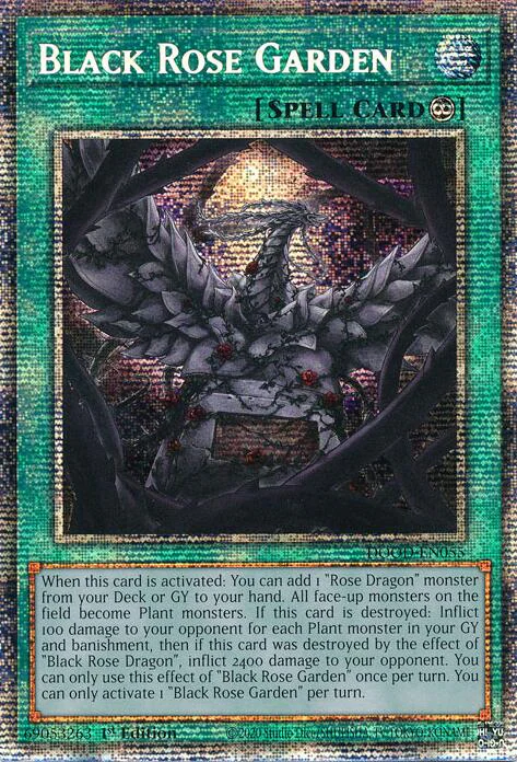 Black Rose Garden