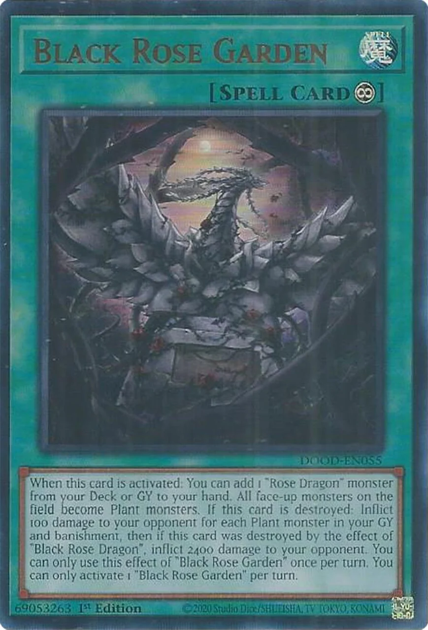 Black Rose Garden
