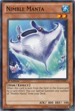 Nimble Manta