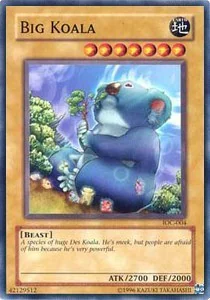 Big Koala