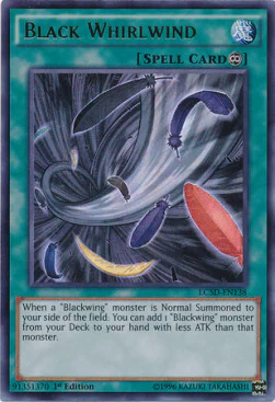 Black Whirlwind