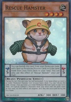 Rescue Hamster