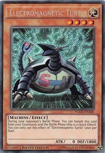 Electromagnetic Turtle