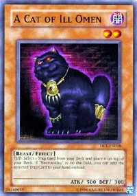 A Cat of Ill Omen