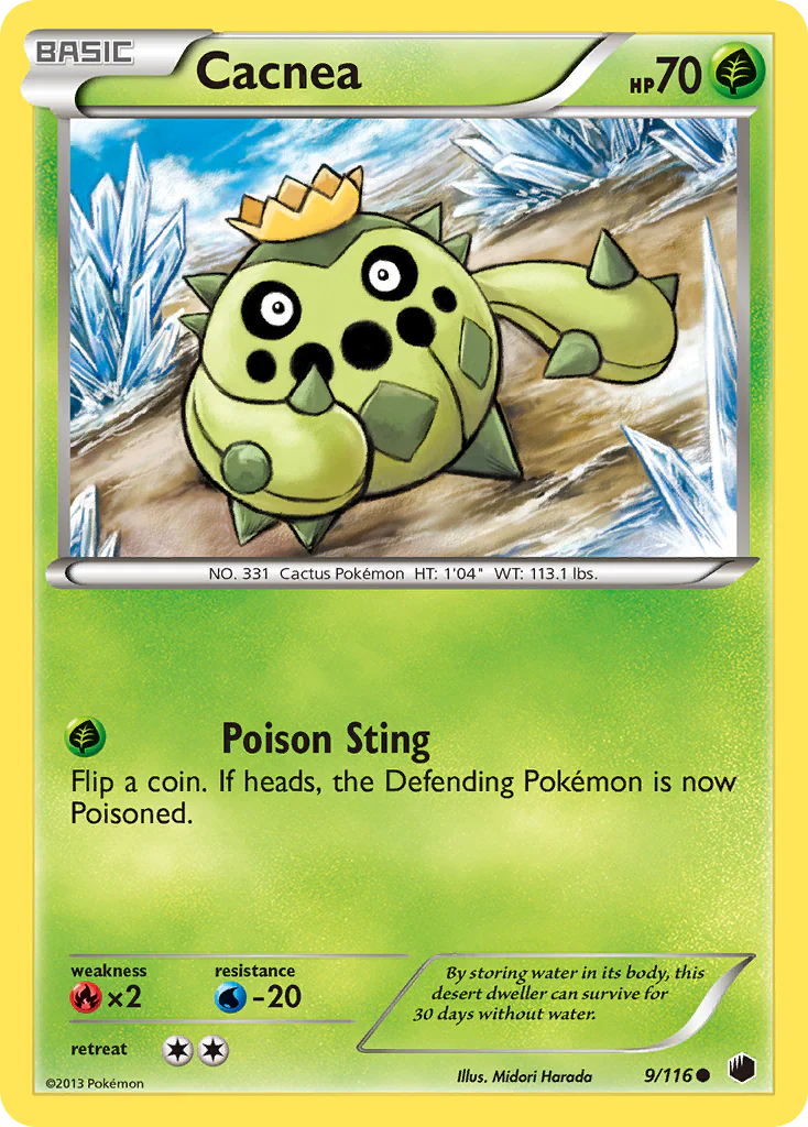 Cacnea