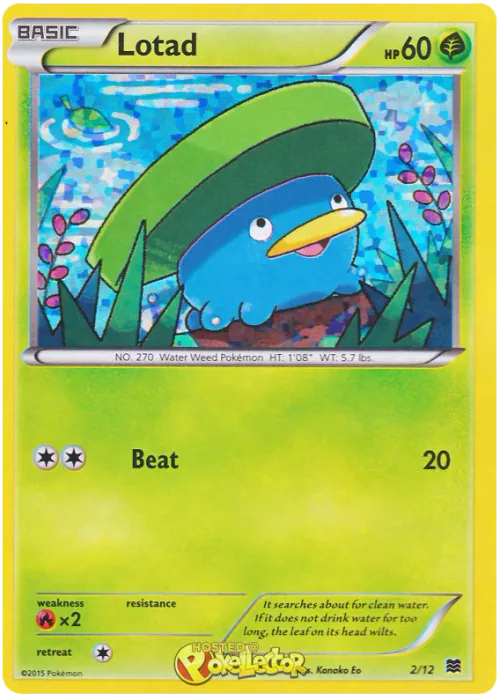 Lotad