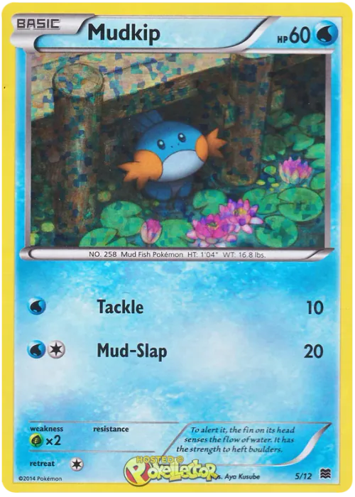 Mudkip