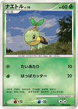 ナエトル