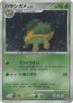 ハヤシガメ