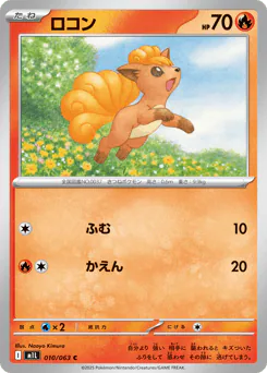 ロコン