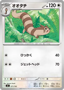Furret