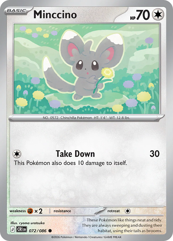 Minccino