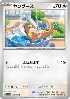 ヤングース