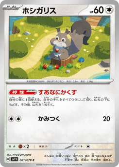 ホシガリス