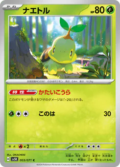 Turtwig