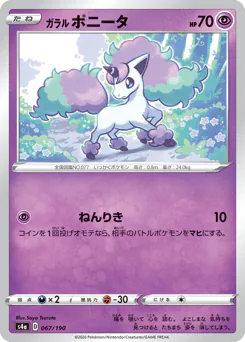 ガラル ポニータ