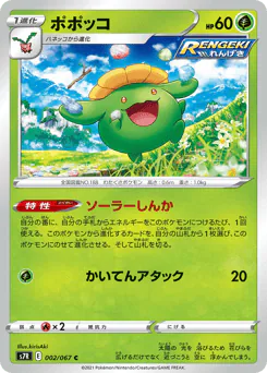 Skiploom