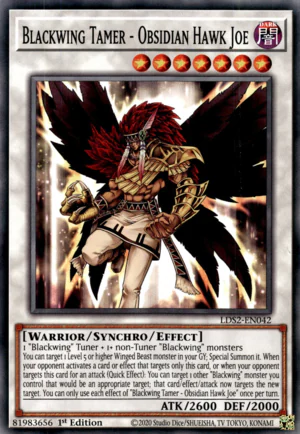 Blackwing Tamer - Obsidian Hawk Joe