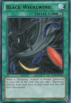 Black Whirlwind