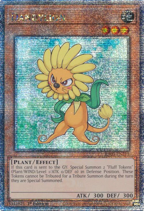 Dandylion