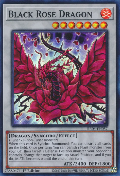 Black Rose Dragon