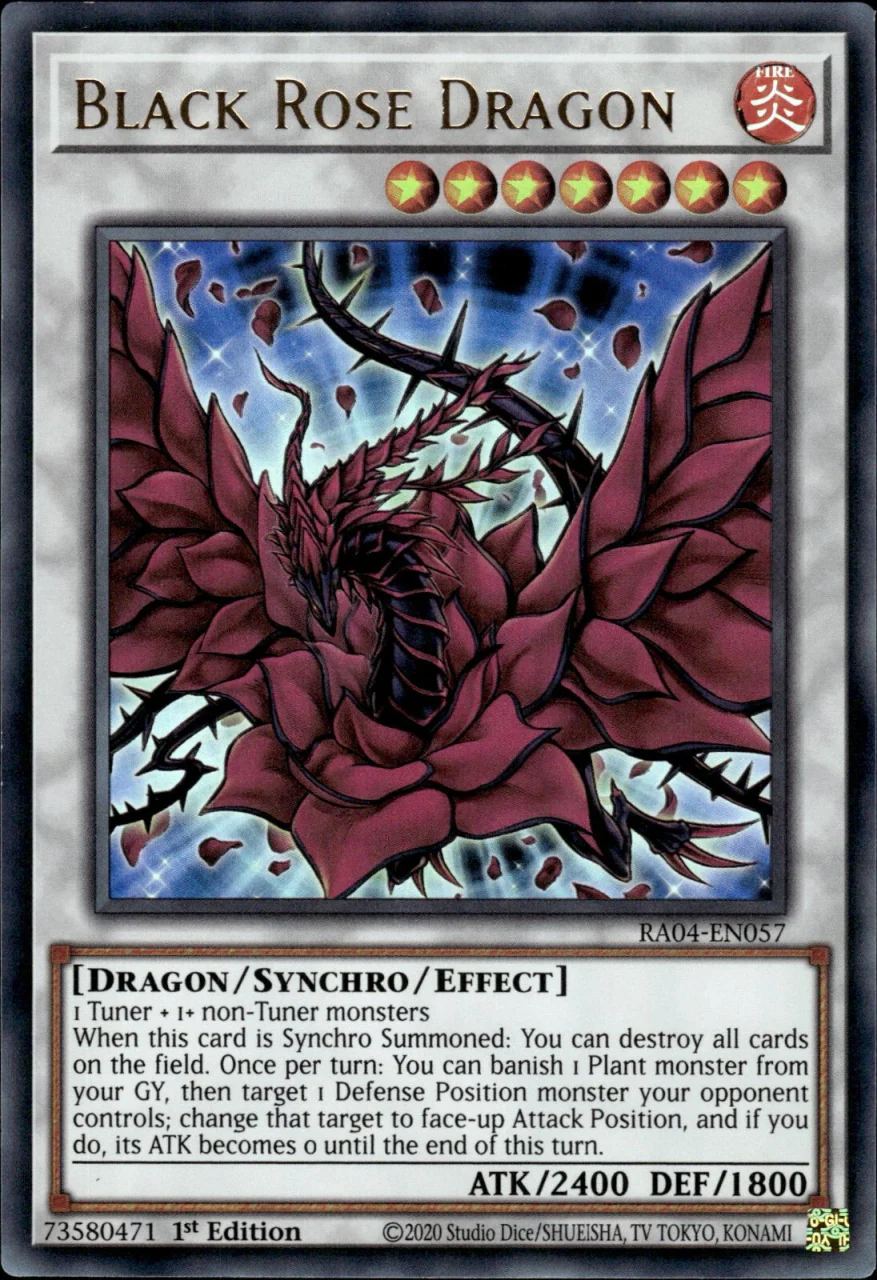 Black Rose Dragon