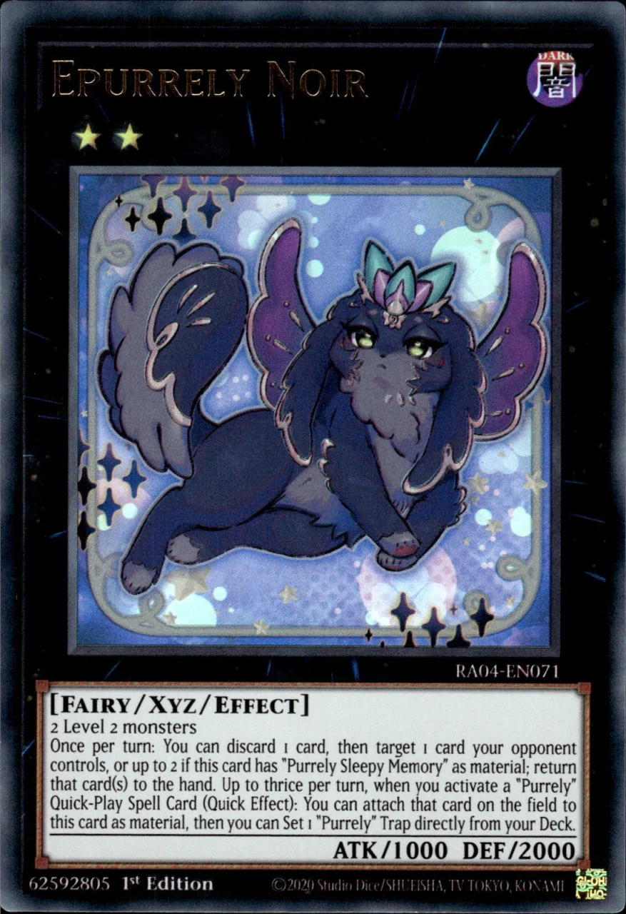 Epurrely Noir