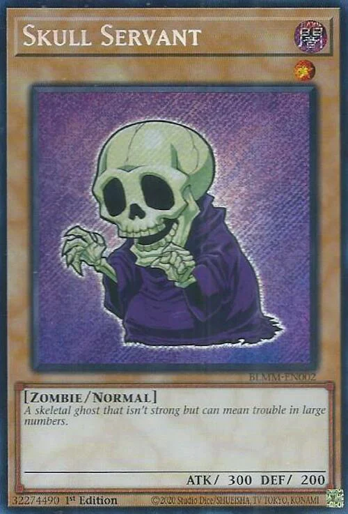 Skull Servant