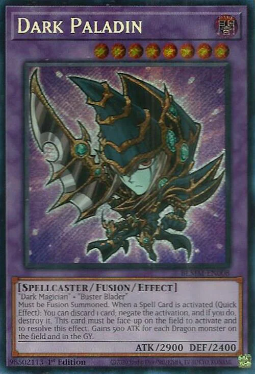 Dark Paladin
