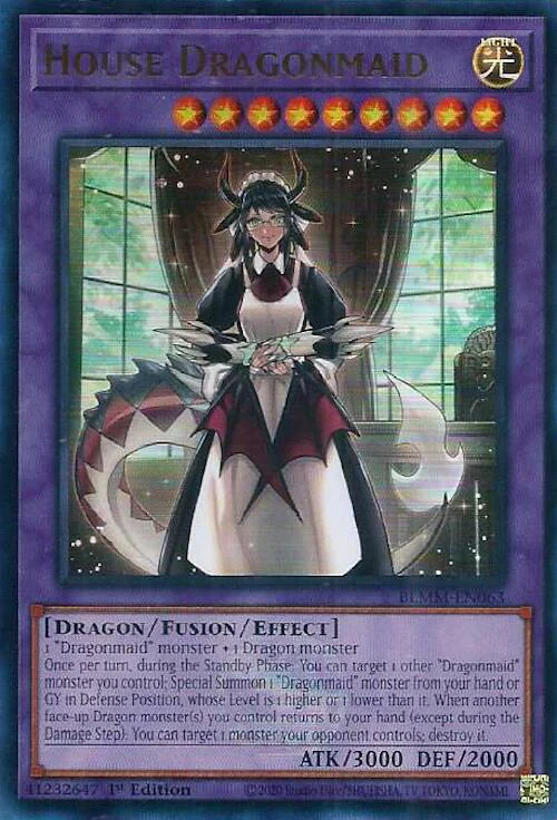 House Dragonmaid
