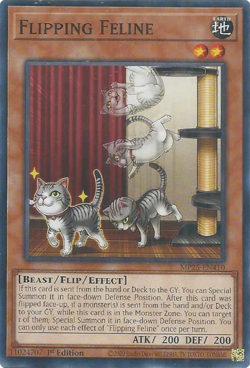 Flipping Feline