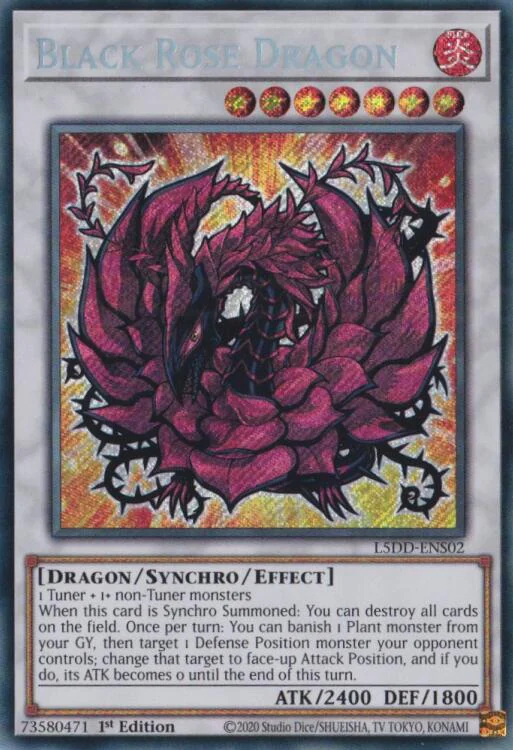 Black Rose Dragon