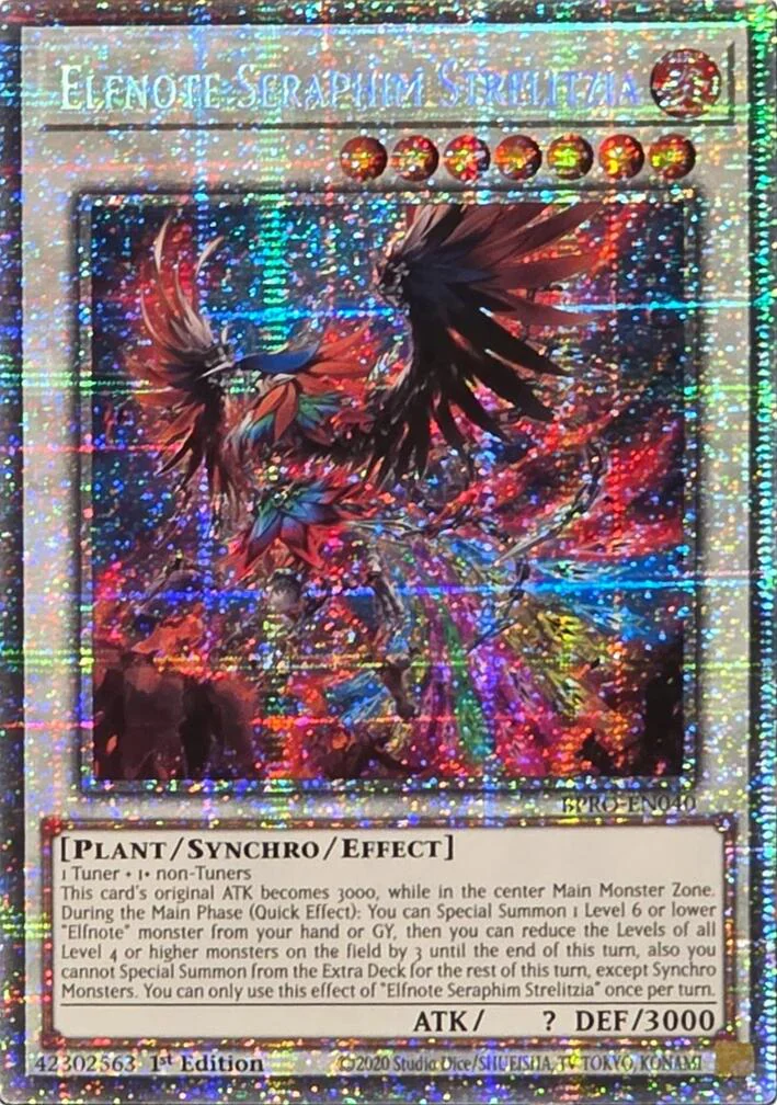 Elfnote Seraphim Strelitzia