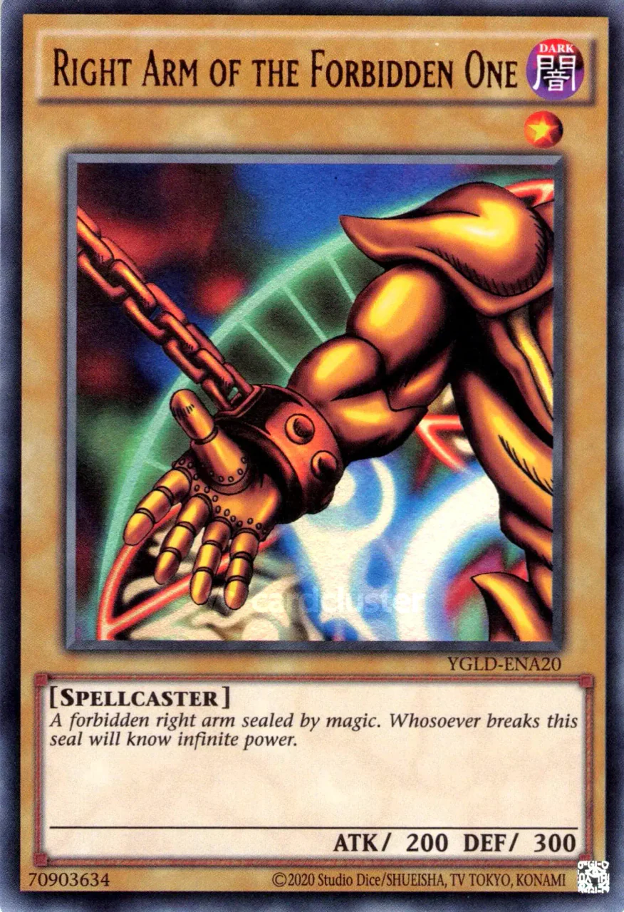 Right Arm of the Forbidden One