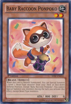 Baby Raccoon Ponpoko