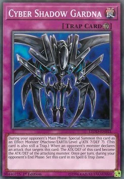 Cyber Shadow Gardna